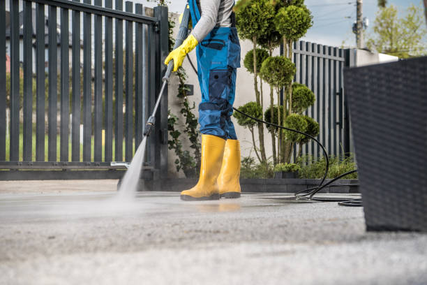 Best Residential Pressure Washing Services  in Nneconne, WI